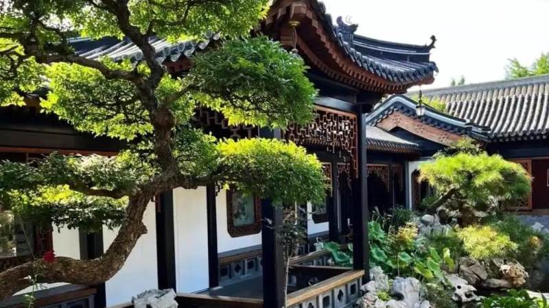 悟空体育赛事数据服务配图